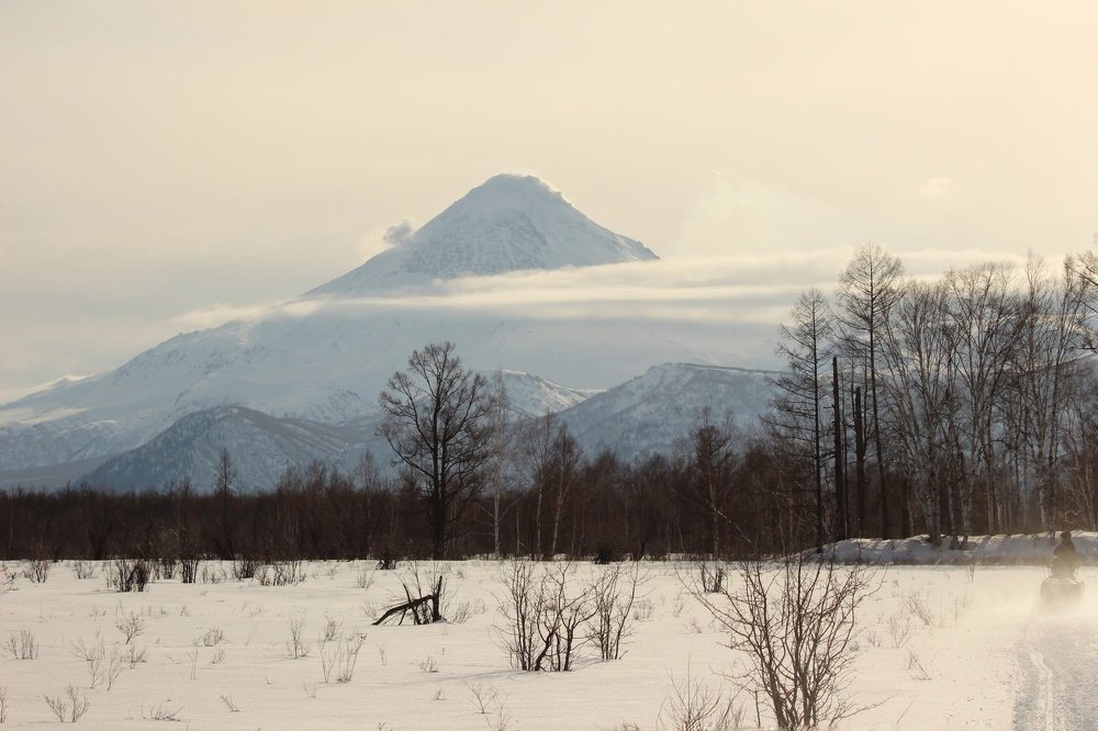 Зимняя сказка