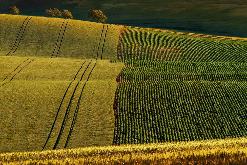 Photograph by Martin Kucera