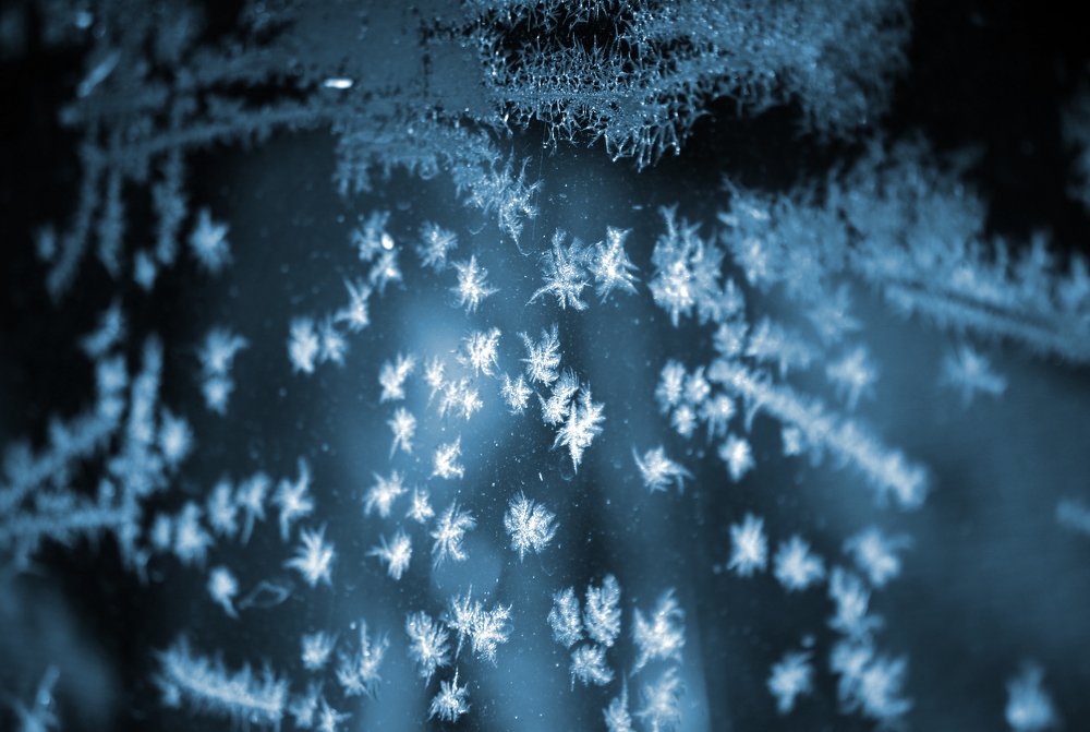 Photograph by Наталья Жалнина