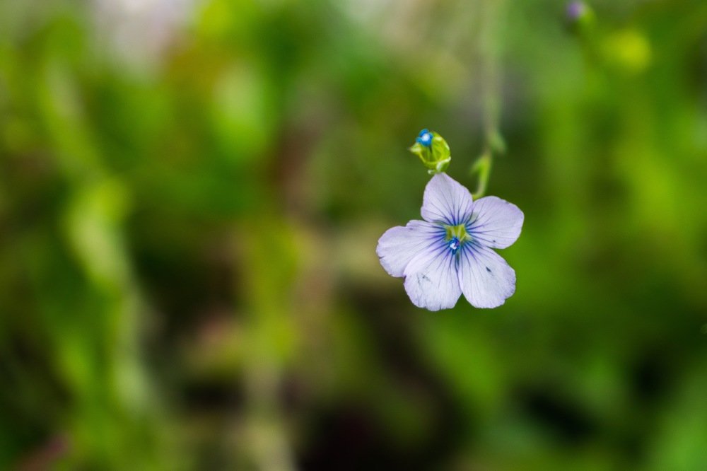 Photograph by Ivana Bozinovic