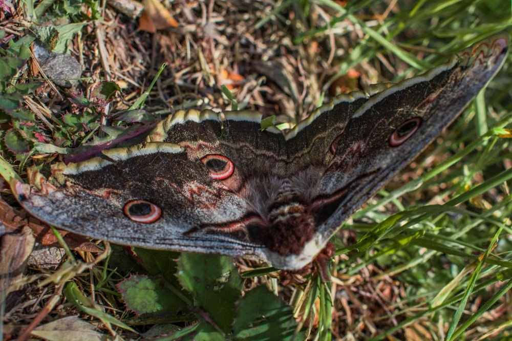 Photograph by Ivana Bozinovic