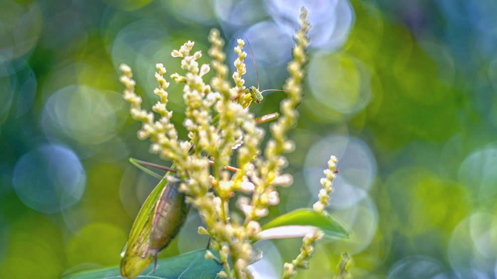 Photograph by Александр Дергаусов