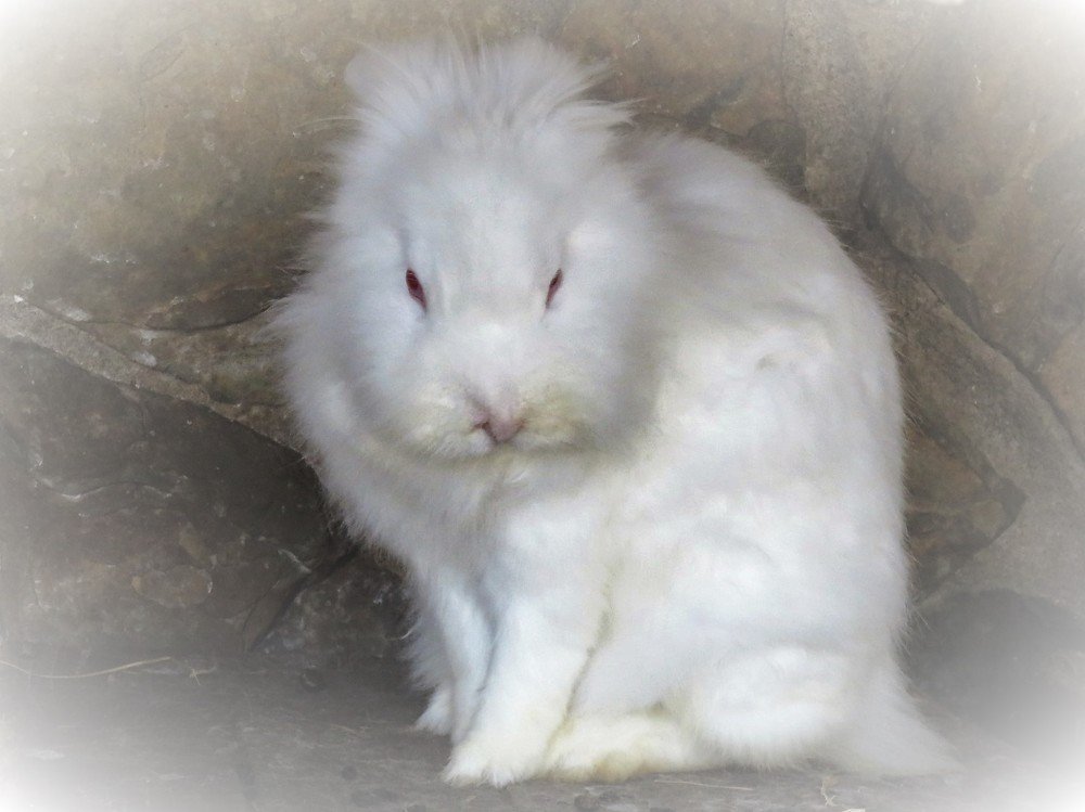 Photograph by Isabel Moreira