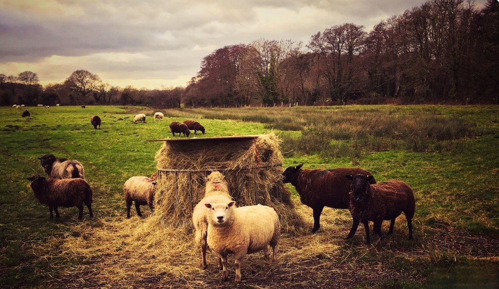 Photograph by Inga Dreger