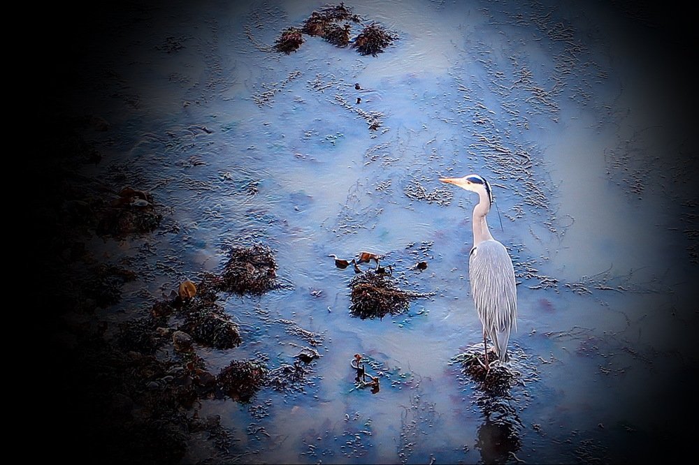 Photograph by Inga Dreger