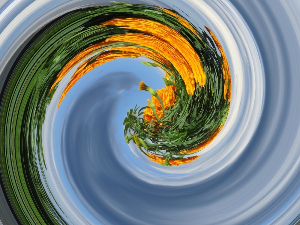 Photograph by Isabel Moreira