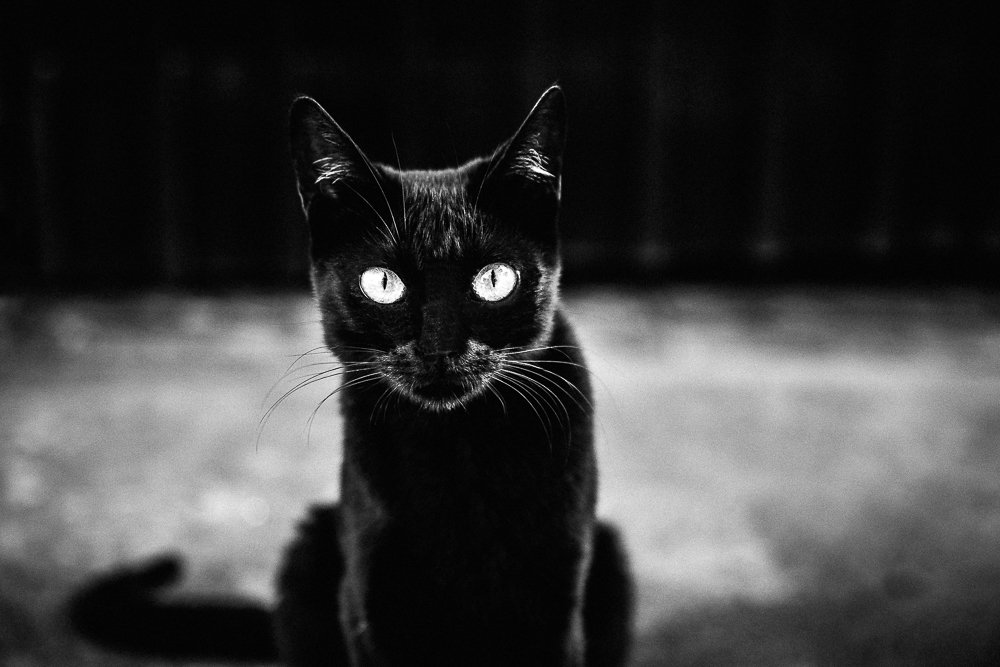 Photograph by Giancarlo Cornoló