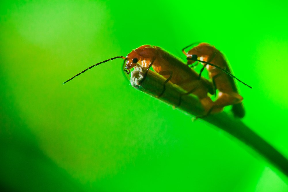 Photograph by Aleksei Kazakov