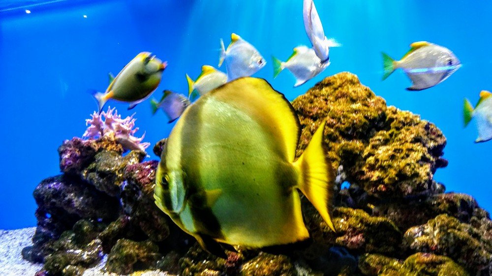 Photograph by Ольга Велитченко