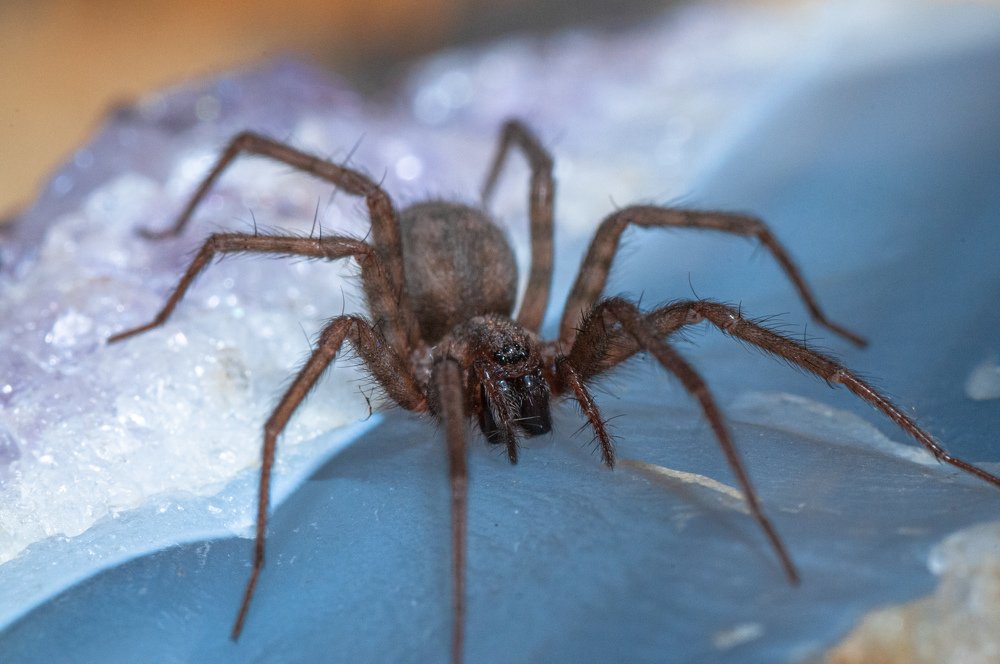 Photograph by Иван Козлов