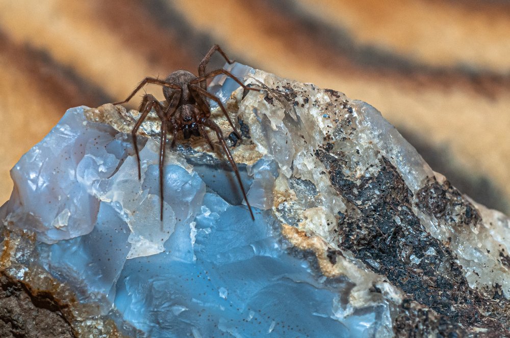 Photograph by Иван Козлов