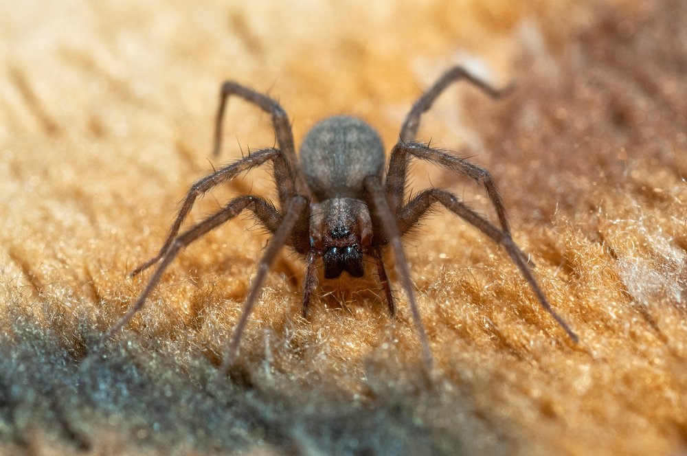 Photograph by Иван Козлов