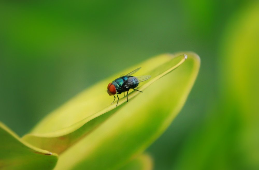Photograph by Aung Kyaw Soe Aung Kyaw Soe