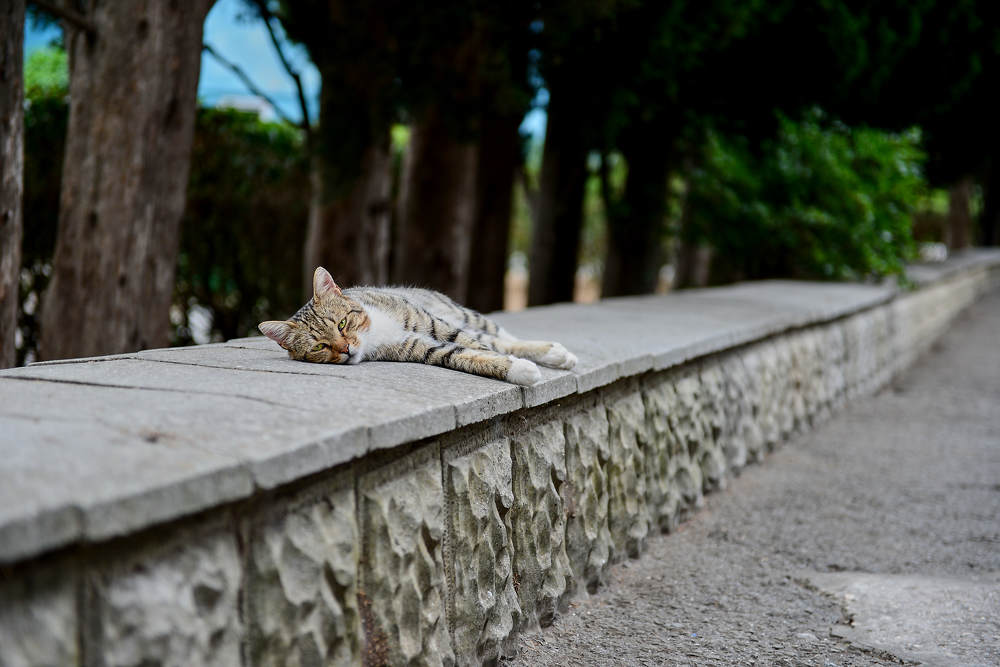 Photograph by Владимир Малевич