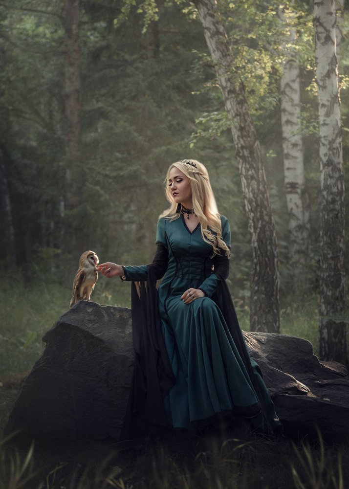 Лесная история