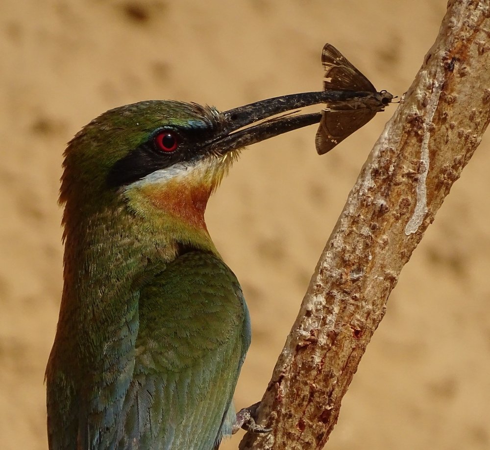 Photograph by Akshat Soni