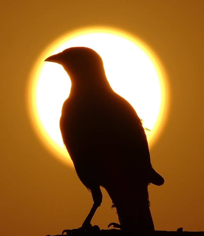 Photograph by Akshat Soni