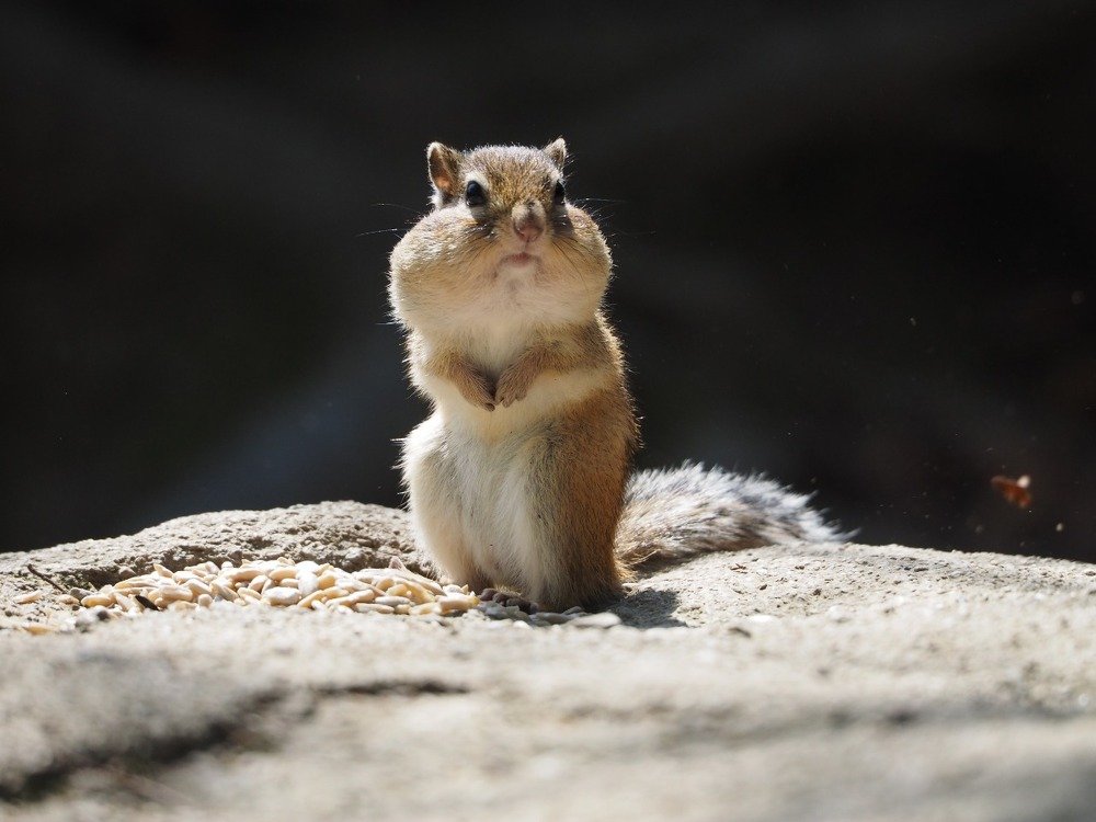 Photograph by Xeniya Kolosova