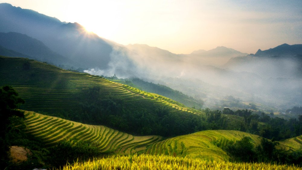 Sapa terraced fields