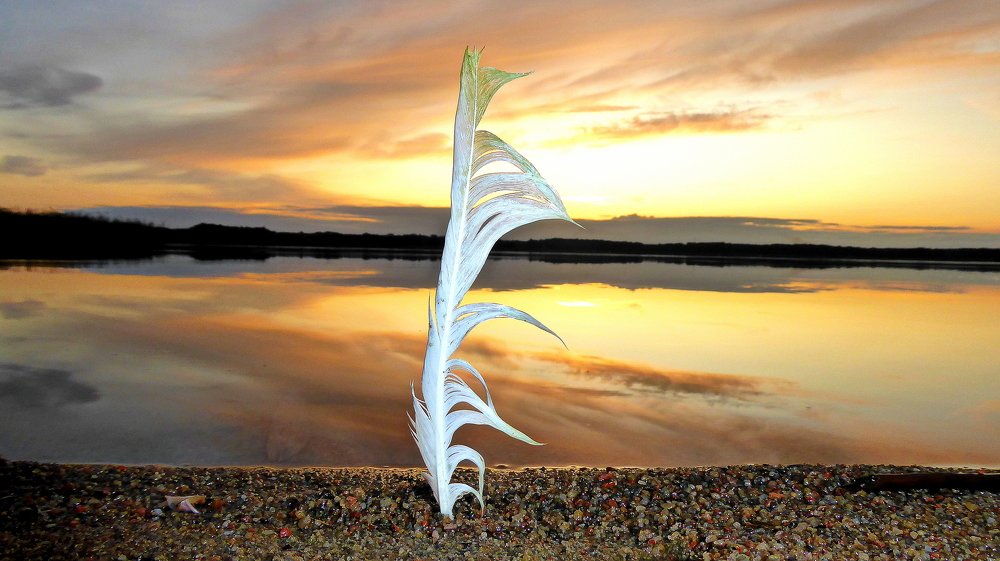 Photograph by Евгений Евдокимов