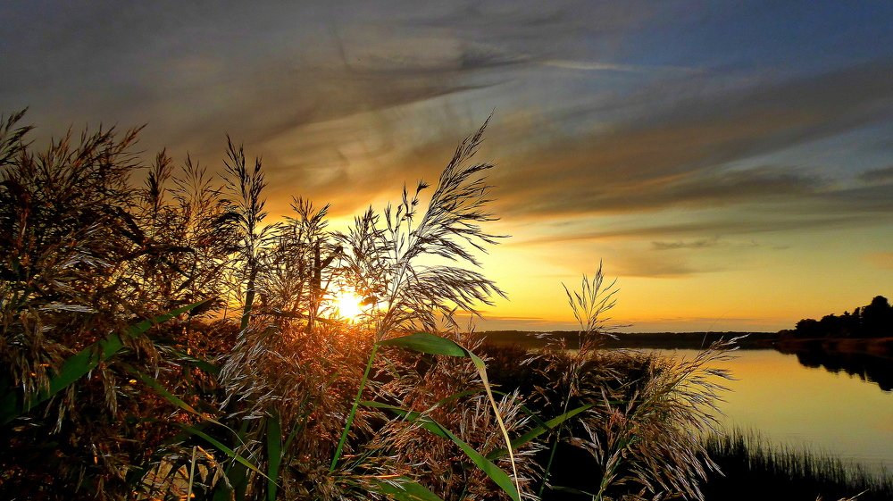 Photograph by Евгений Евдокимов