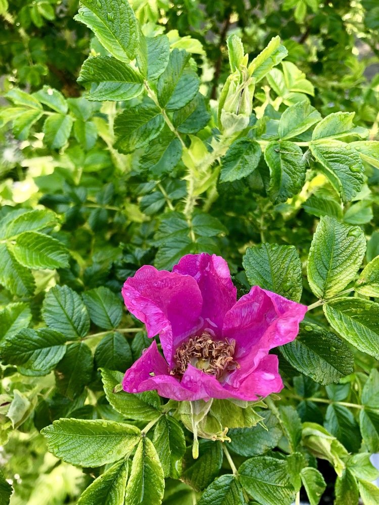 Photograph by Ксения Толканова