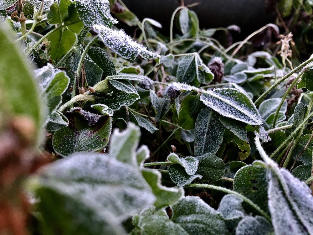 Photograph by Ксения Толканова