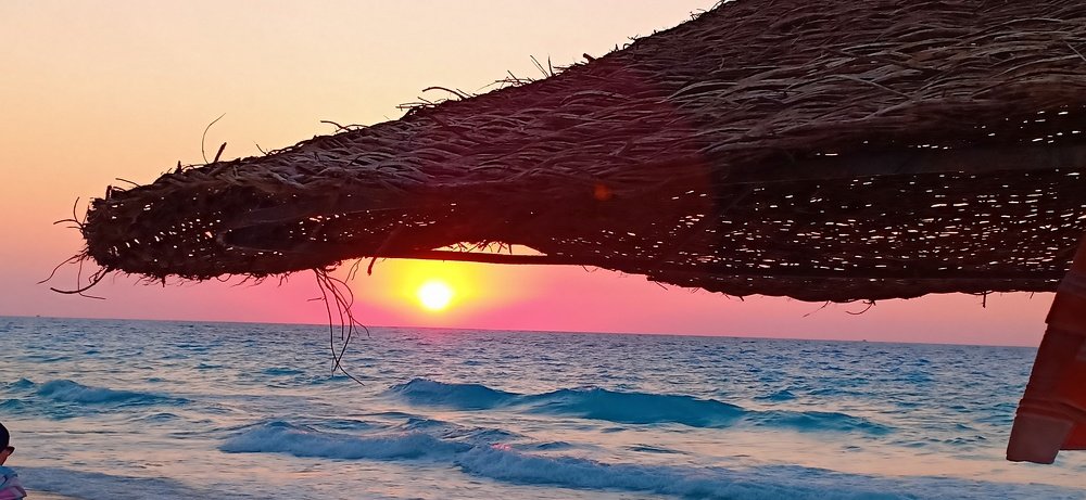 Photo #3580960