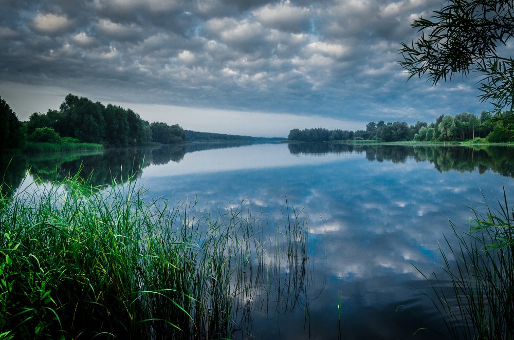 Photograph by Михаил Киселев