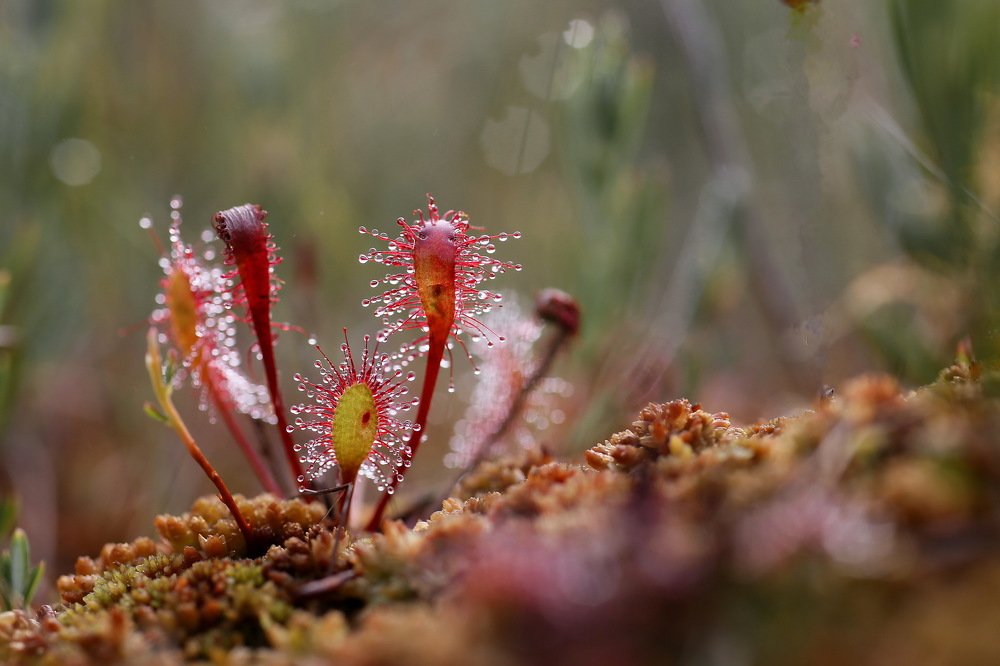 Photograph by Михаил