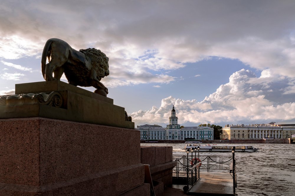 Любимый город