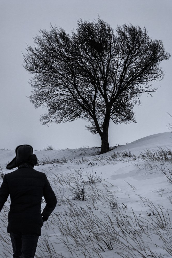 Один в степи