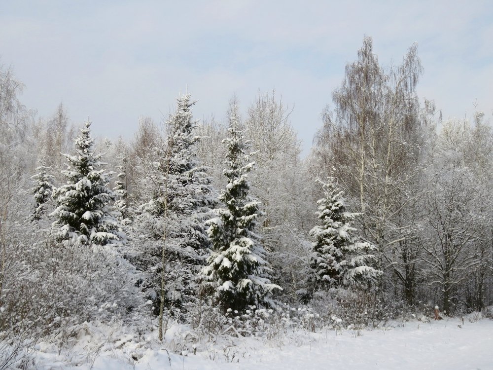 Photograph by Наталья Соколова