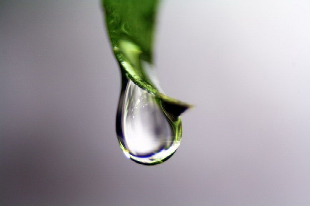 Photograph by  Sohrab Niazi