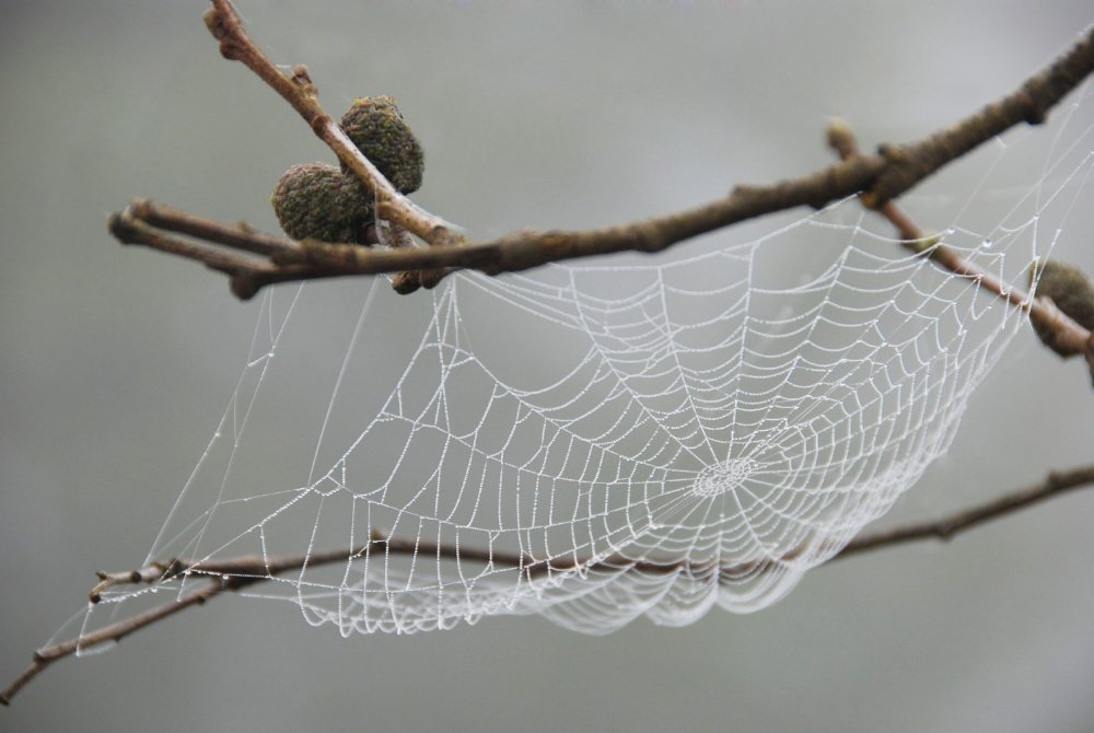 Photograph by  Sohrab Niazi