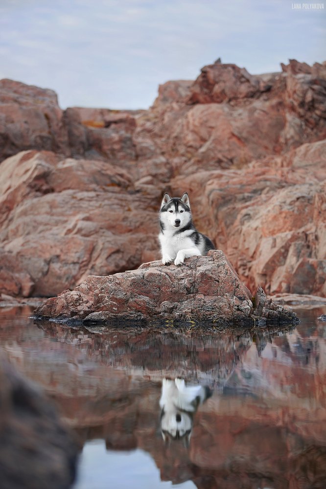 Photograph by Лана Полякова