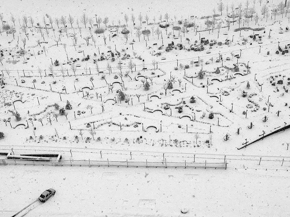 Photograph by Alireza Shahnazi