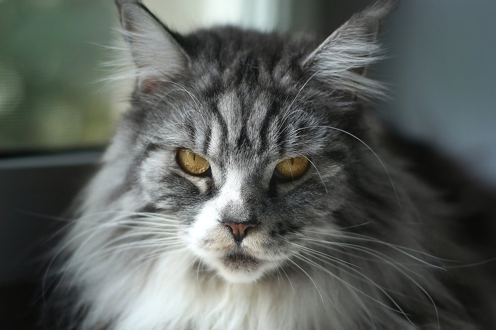 Photograph by Анастасия Мещерякова