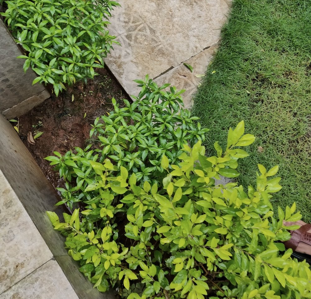 Photograph by Zeeshan Shaikh