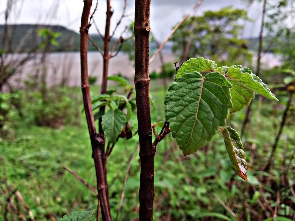 Photograph by Zeeshan Shaikh