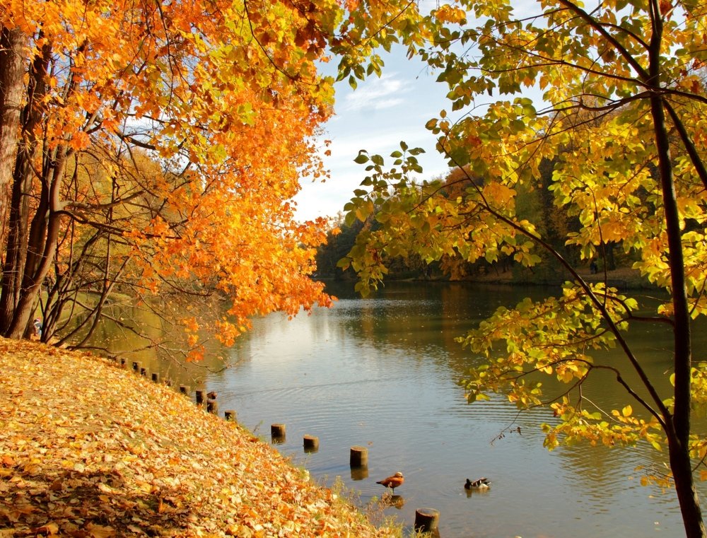 Красота осени.