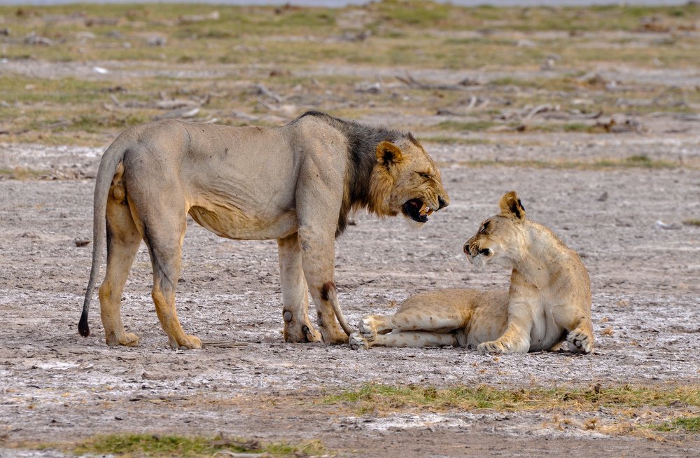 Photograph by Nikolay Isaakov