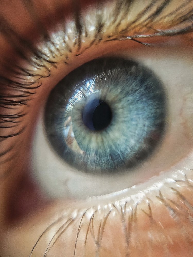 Фотография автора Алина Черняева