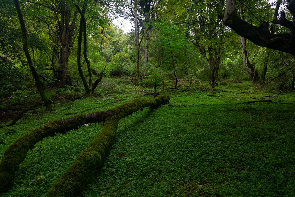 Фотография автора Ebrahim Rahiminezhad