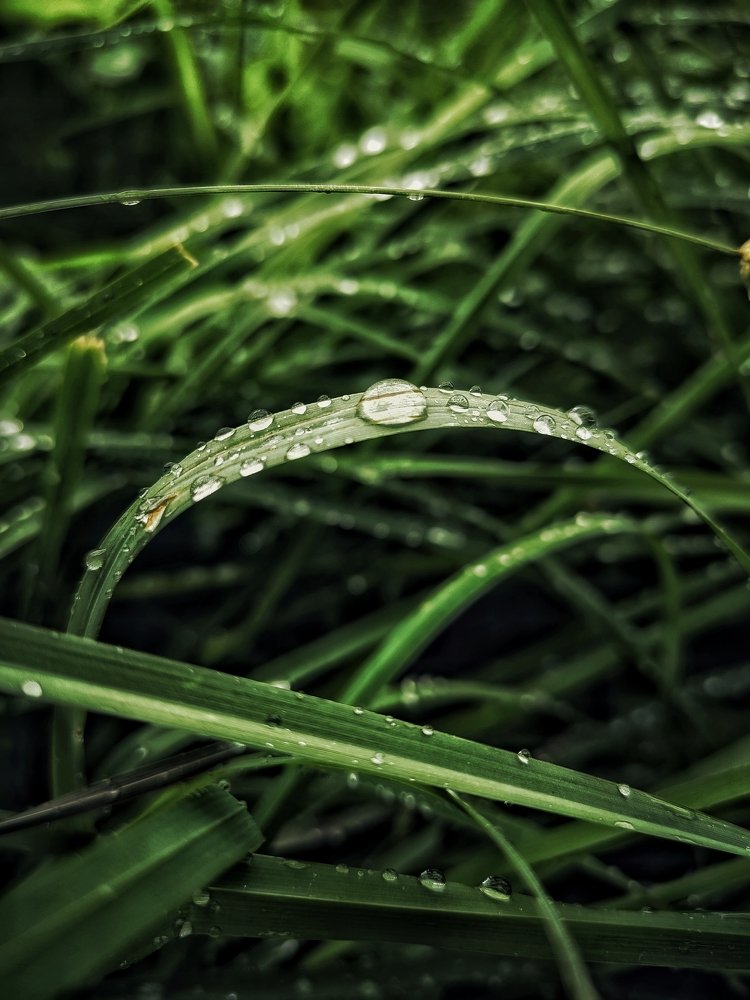 Фотография автора Алина Черняева