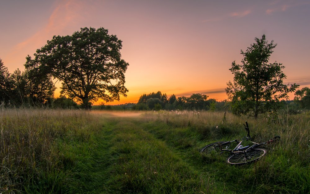 The silence of summer