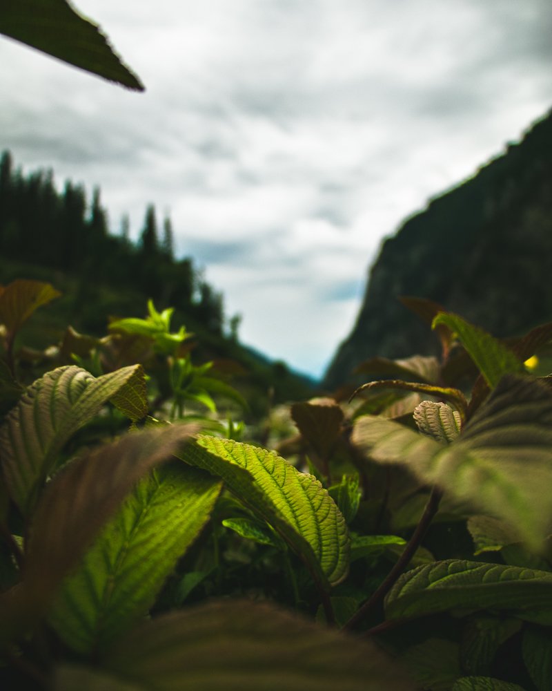 Фотография автора Jeet Khagram