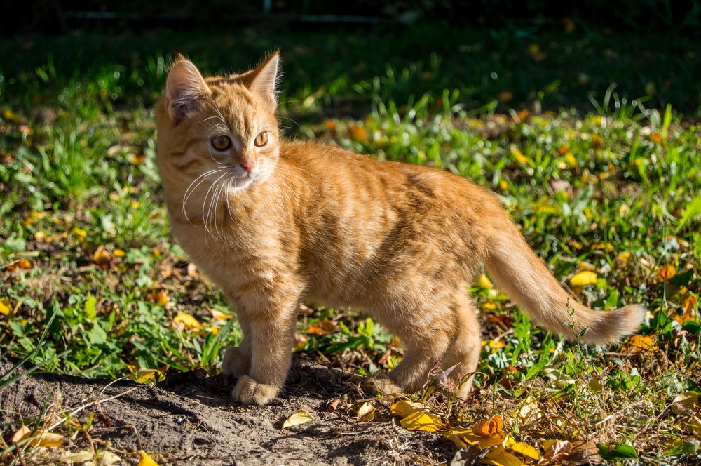 Photograph by Кирилл