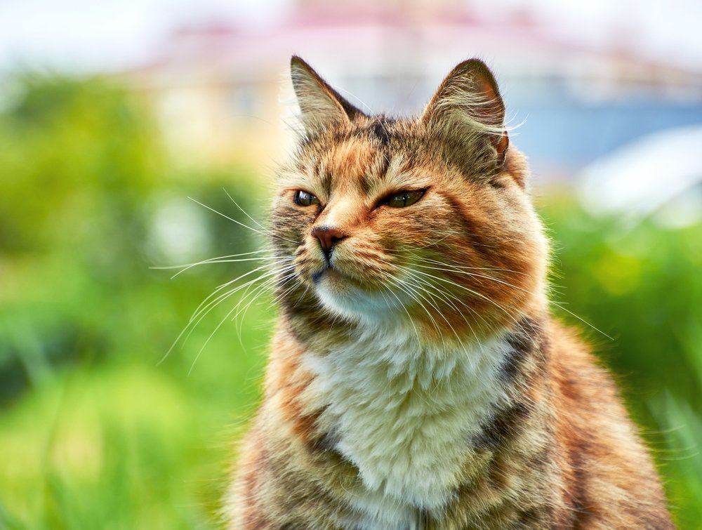 Photograph by Валерий Гончаров