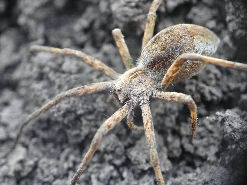 Photograph by Юрий Филицкий